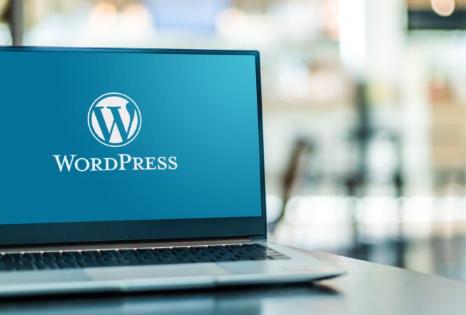 WordPress web development course