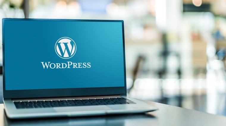 WordPress web development course